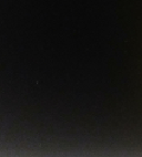 LICRA NEGRO