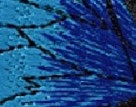 AZUL/TURQUESA