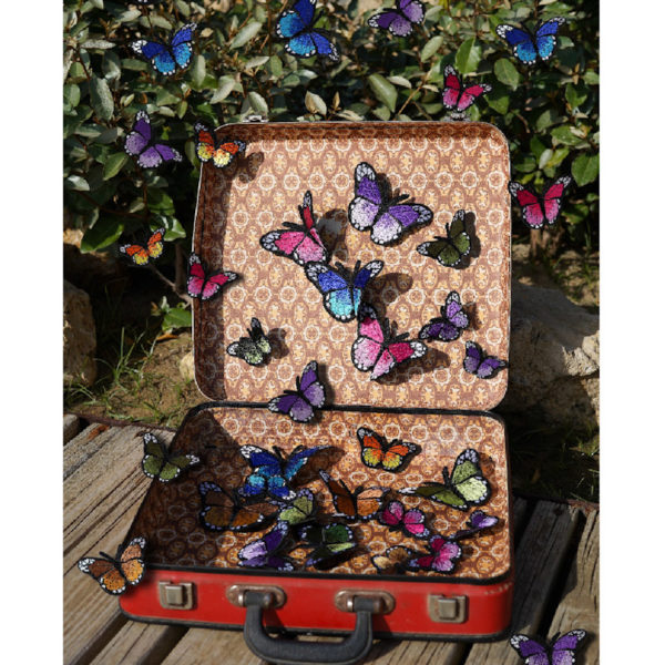 Broche MARIPOSAS - Imagen 2